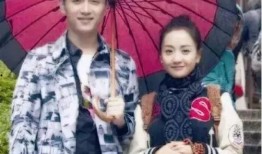 陈晓杨蓉最新爆料,揭秘娱乐圈背后的惊人真相！